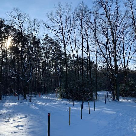 Chalet Liquidambar زوتيندال المظهر الخارجي الصورة